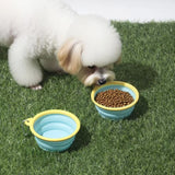 Collapsible Dog Bowl with Carabiner, Portable Silicone Travel Bowl