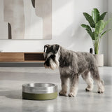 Insulated Stainless Steel Dog Bowl with Non-Slip Base