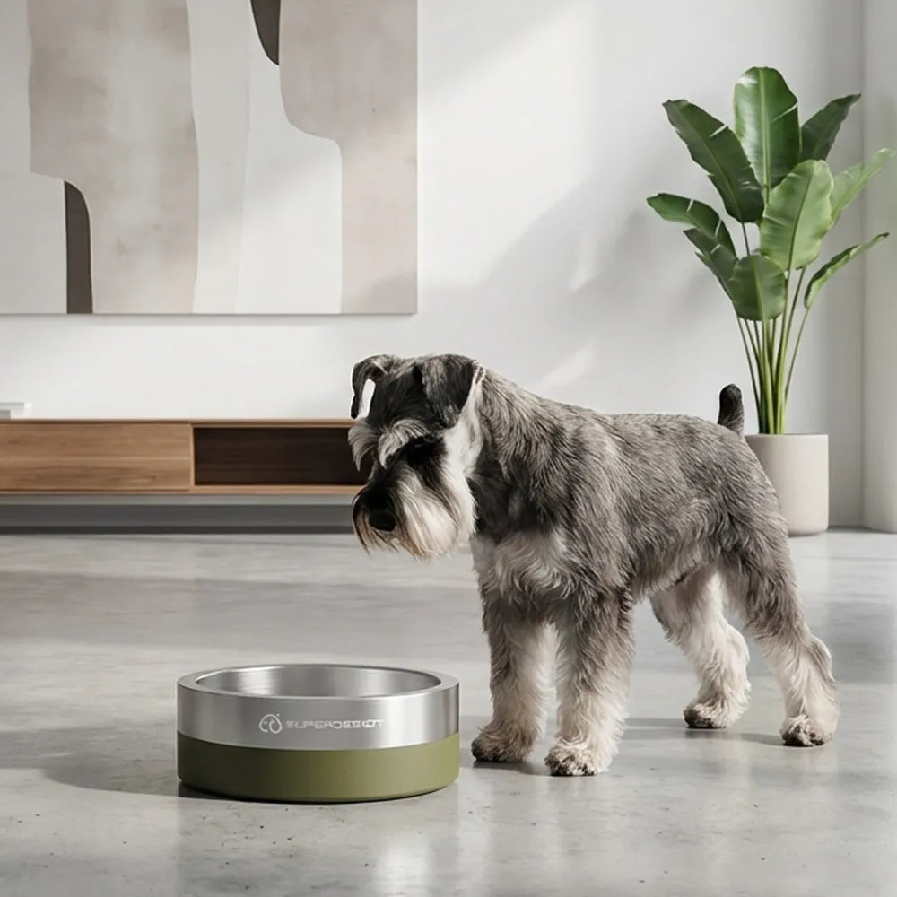 Insulated Stainless Steel Dog Bowl with Non-Slip Base