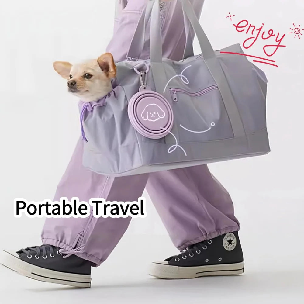 Collapsible Dog Bowl with Carabiner, Portable Silicone Travel Bowl