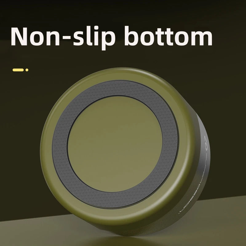 Insulated Stainless Steel Dog Bowl with Non-Slip Base