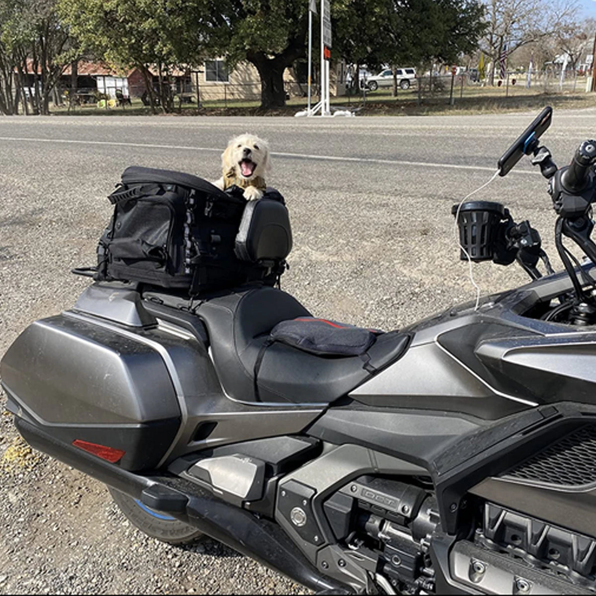 Motorcycle Dog Carrier Crate for Sissy Bar or Luggage Rack