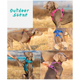 No Pull Dog Harness with Front Clip, Padded and Reflective