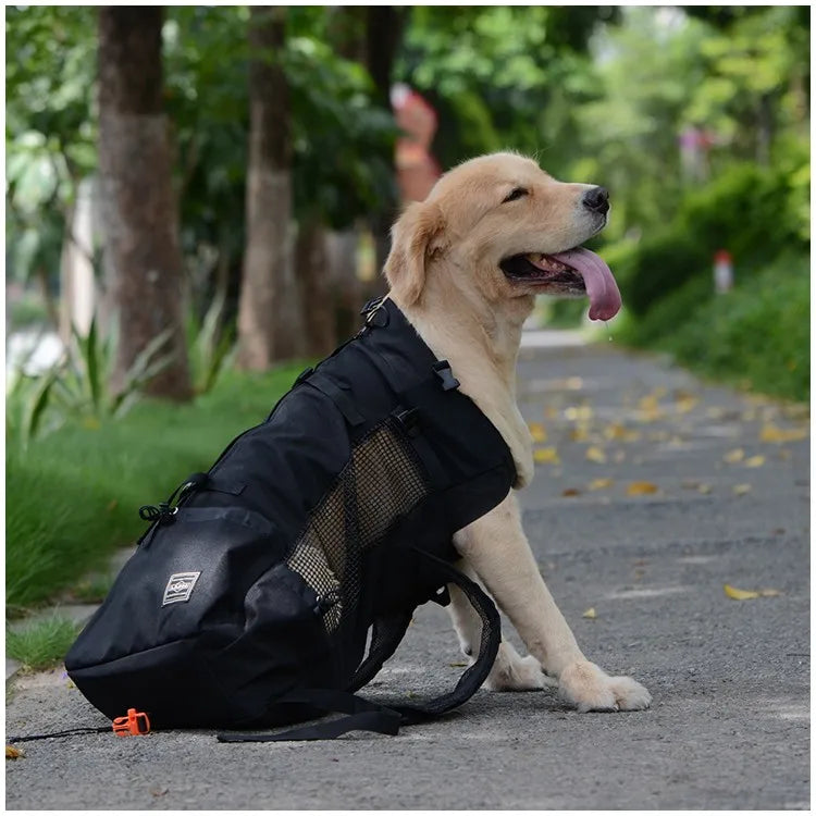 Dog Carrier Backpack with Head-Out Opening for Hiking and Biking