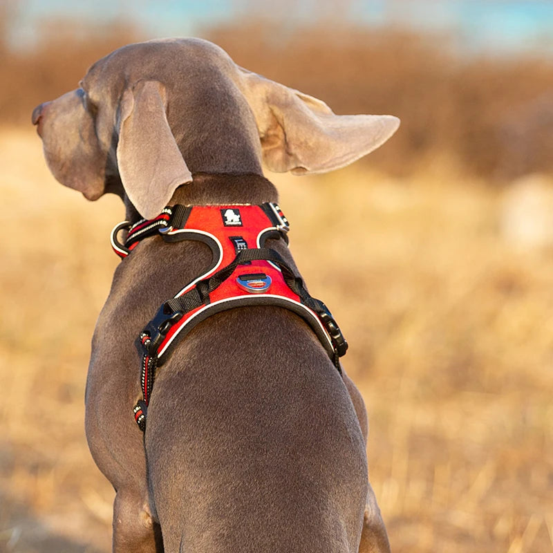 Reflective No Pull Dog Harness with Handle, Adjustable, XS to XL