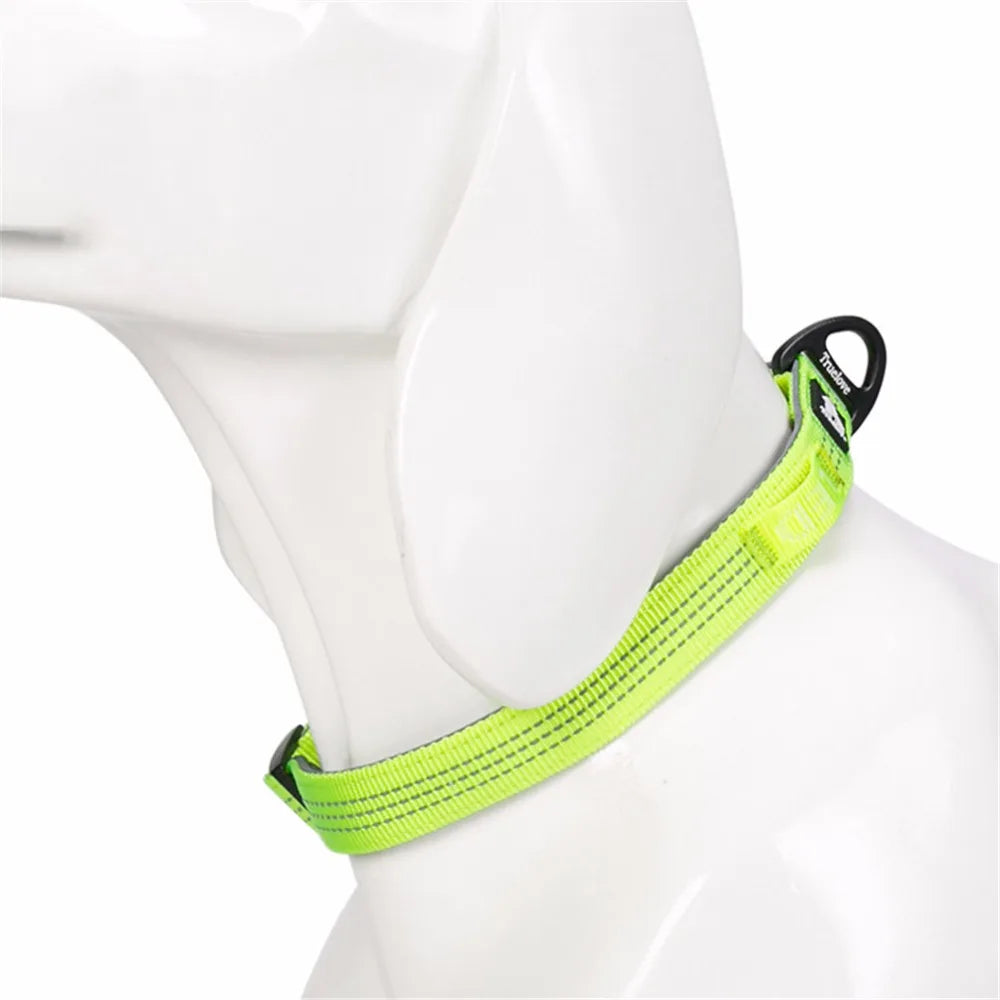 Reflective Padded Dog Collar with Aluminum D-Ring, S-L