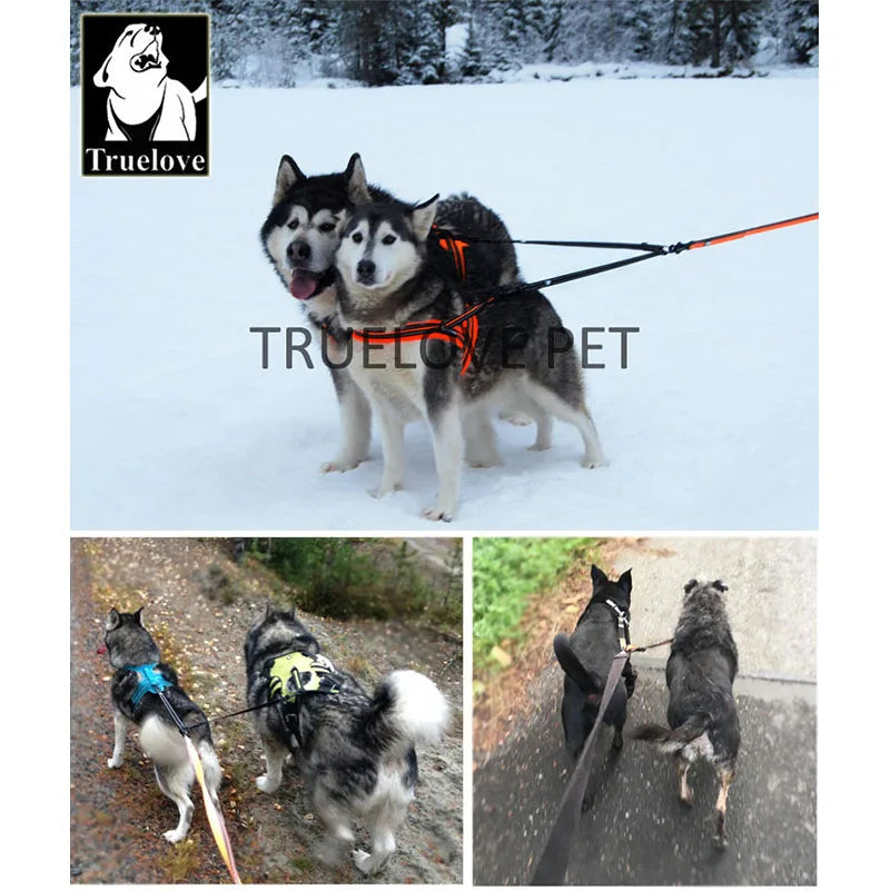 Double Dog Leash Coupler for Two Dogs, No Tangle Reflective Nylon