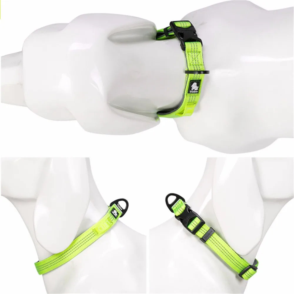 Reflective Padded Dog Collar with Aluminum D-Ring, S-L