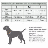Reflective Padded Dog Collar with Aluminum D-Ring, S-L
