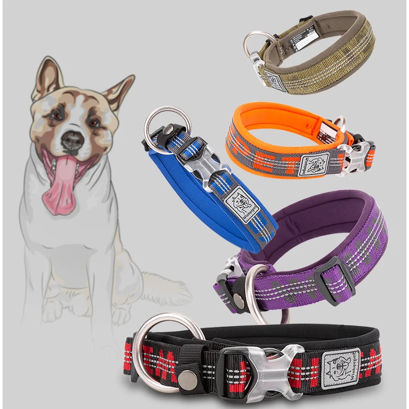 Quick Release Padded Dog Collar with Reflective Stitching, 5 Colors