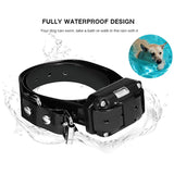 Dog Training Collar with Remote, 1 to 99 Levels, 2600 ft Range