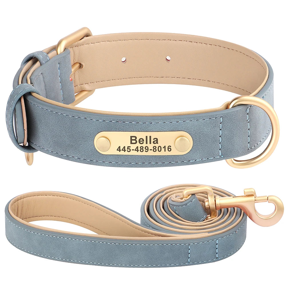 Personalized Leather Dog Collar with Engraved Nameplate, Pin Buckle