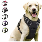 Dog Vest Harness for Small and Medium Dogs, All Seasons