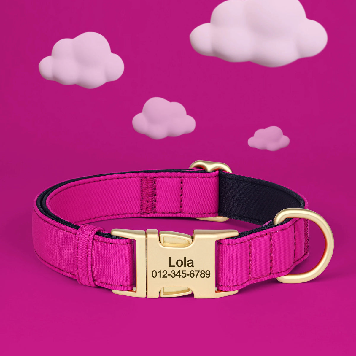 Personalized Padded Dog Collar with Engraved Gold Buckle
