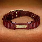 Genuine Leather Personalized Dog Collar for Pitbulls and Large Dogs