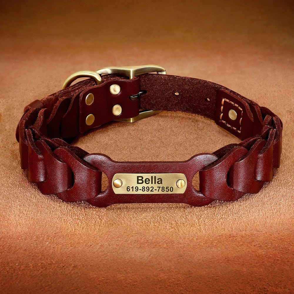 Genuine Leather Personalized Dog Collar for Pitbulls and Large Dogs