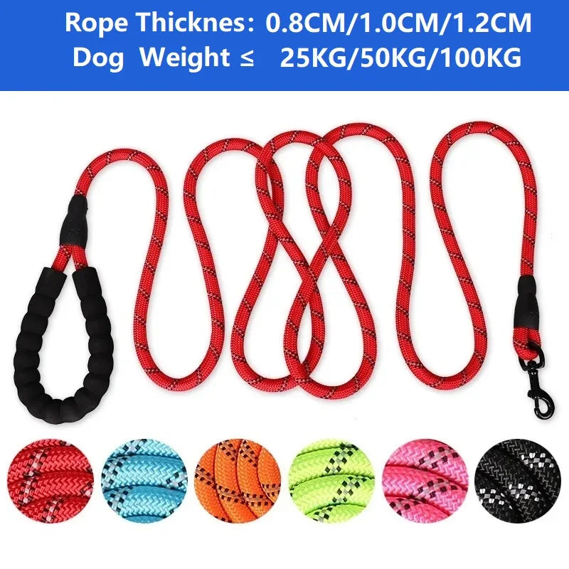 Reflective Rope Dog Leash with Padded Handle, 4 to 10 ft