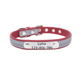 Personalized Dog Collar Gift for Dog Lovers, Engraved Name