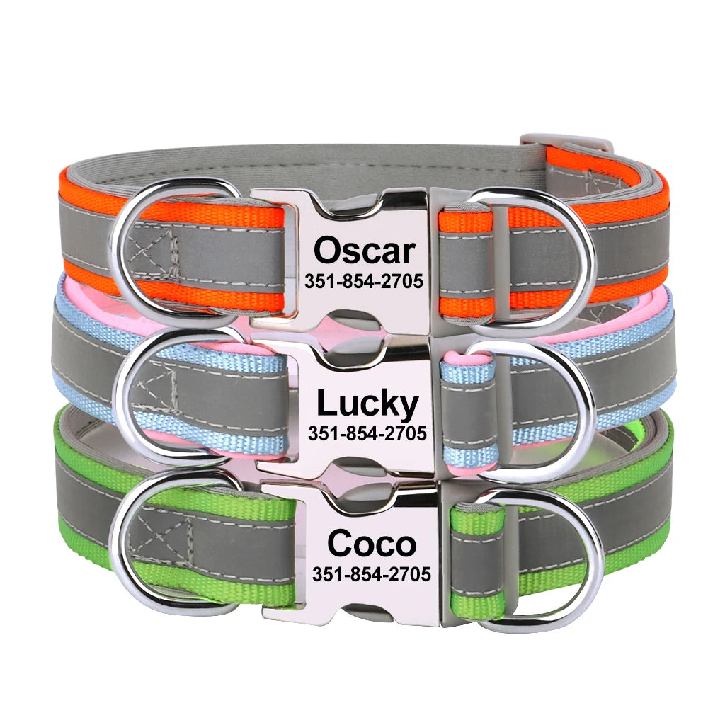 Custom Padded Nylon Dog Collar with Engraved Phone Number