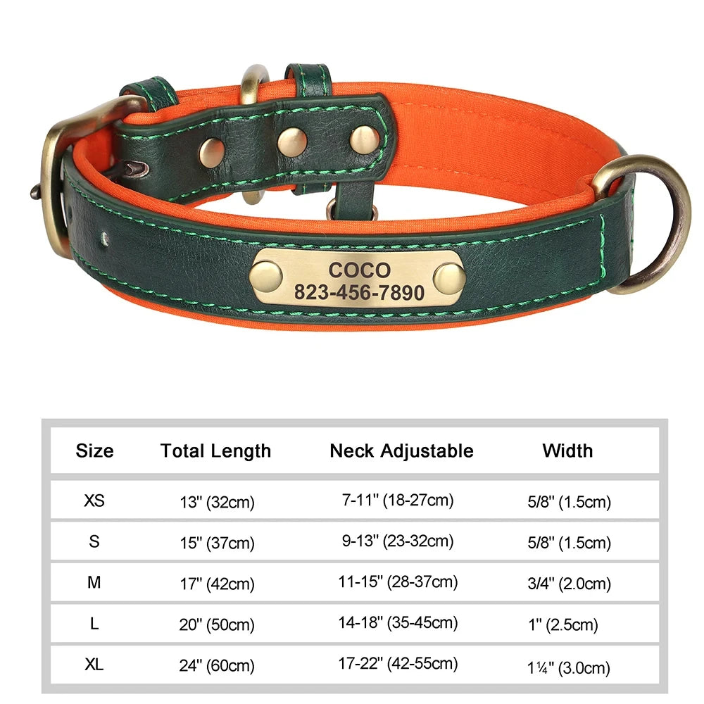 Personalized Leather Dog Collar with Engraved Nameplate ID Tag