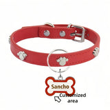 Custom Puppy Collar and Name Tag Set, Double-Sided Engraving