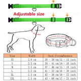 LED Dog Collar with 3 Light Modes, USB or Battery Powered