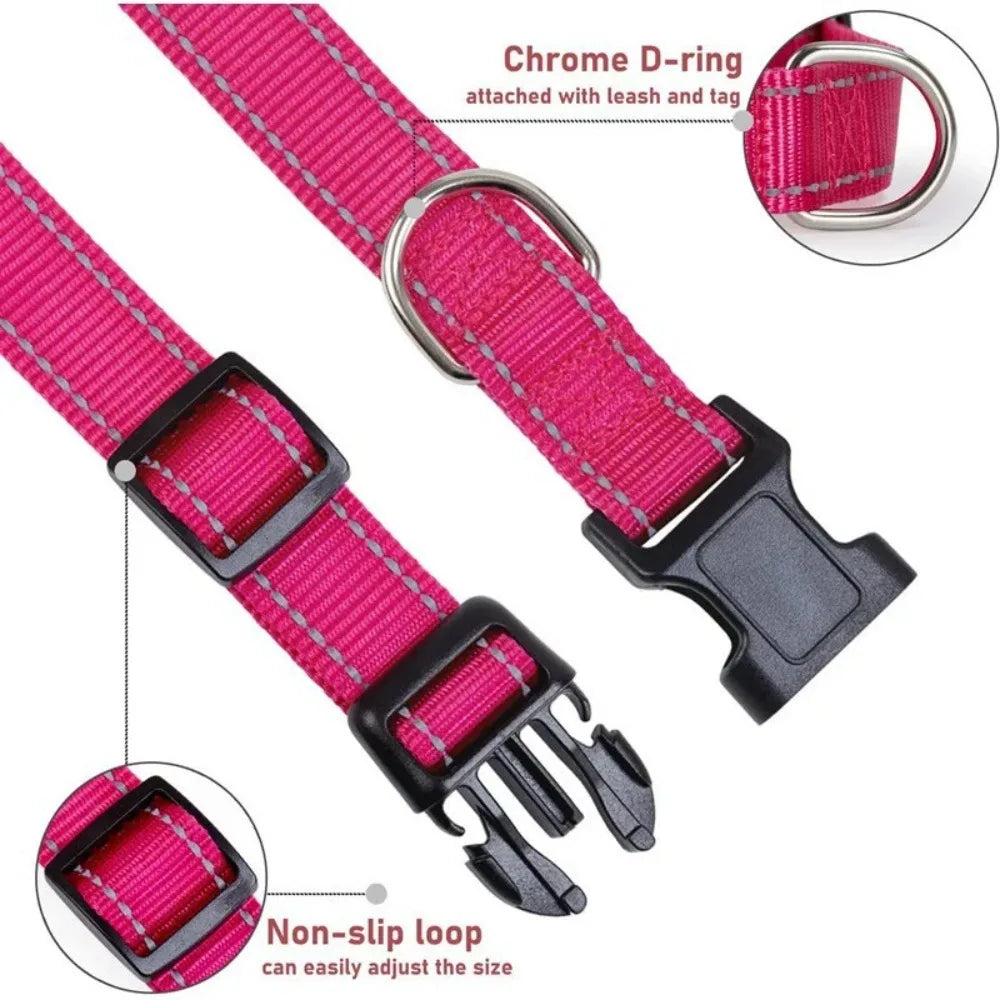 Soft Neoprene Padded Nylon Dog Collar for Medium Dogs