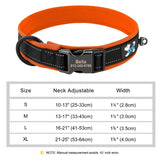Custom Padded Nylon Dog Collar with Engraved Phone Number
