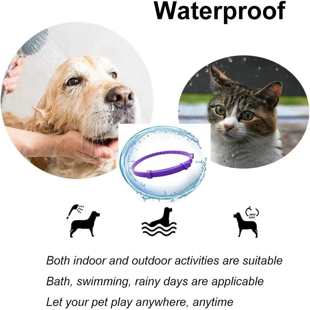 Lavender Calming Collar for Dogs, 60-Day Pheromone Blend