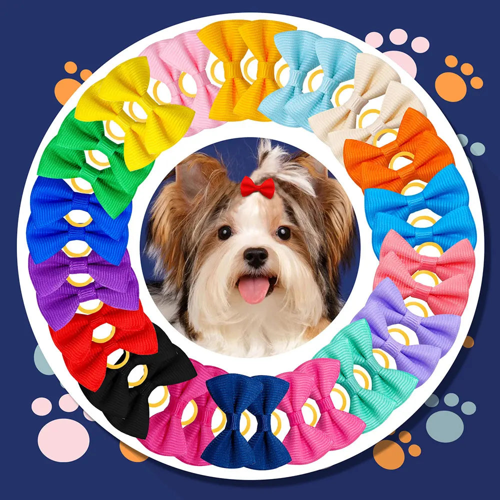 Dog Hair Bows with Rubber Bands, Mixed Colors, 10 to 30 Pack