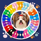 Dog Hair Bows with Rubber Bands, Mixed Colors, 10 to 30 Pack