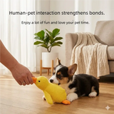 Plush Duck Squeaky Dog Toy, Soft Textured Fabric