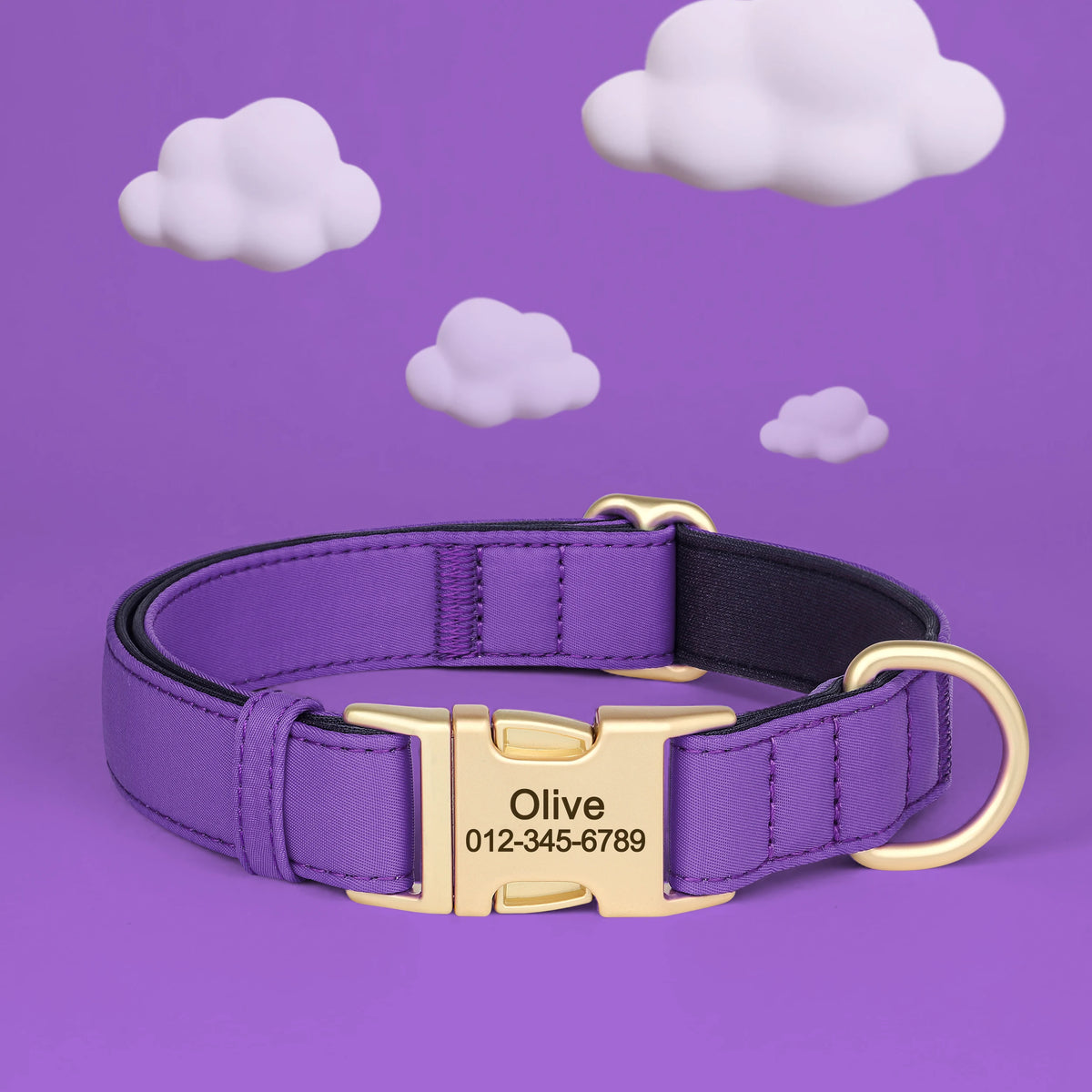 Personalized Padded Dog Collar with Engraved Gold Buckle