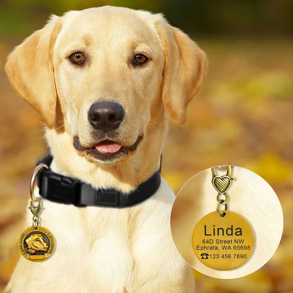 Engraved Copper Finish Dog Tag for Large Dogs, Personalized