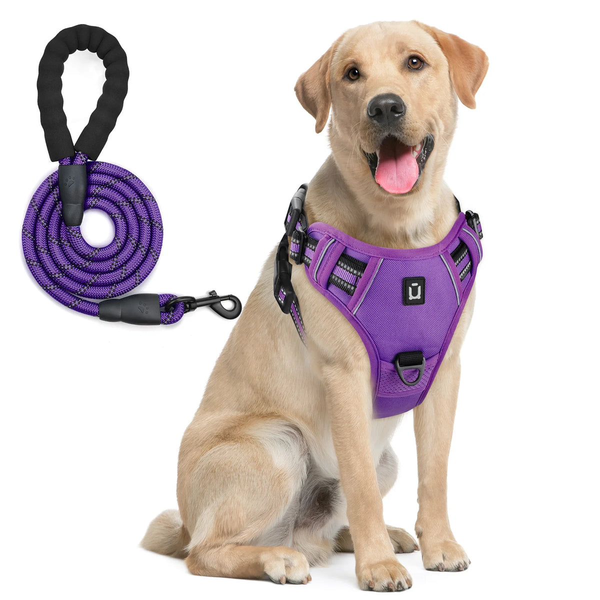 No Pull Dog Harness and Leash Set with Front and Back Clips