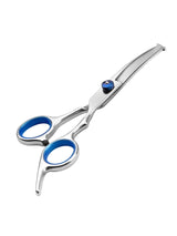Round Tip Dog Grooming Scissors, 6 Inch Stainless Steel