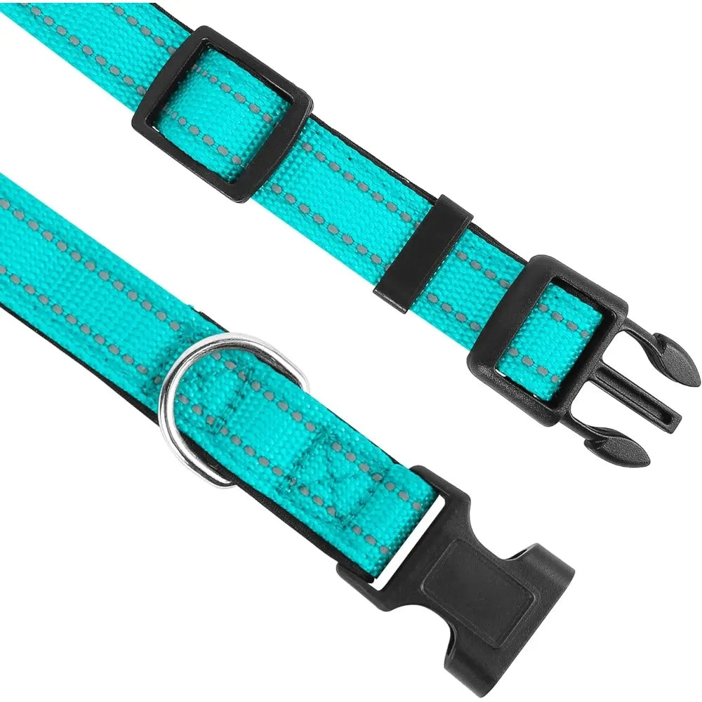 Soft Neoprene Padded Nylon Dog Collar for Medium Dogs