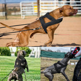Dog Weight Pulling Harness with Dual 4 ft Pull Lines, Padded