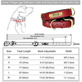 Personalized Padded Leather Dog Collar with Engraved Nameplate