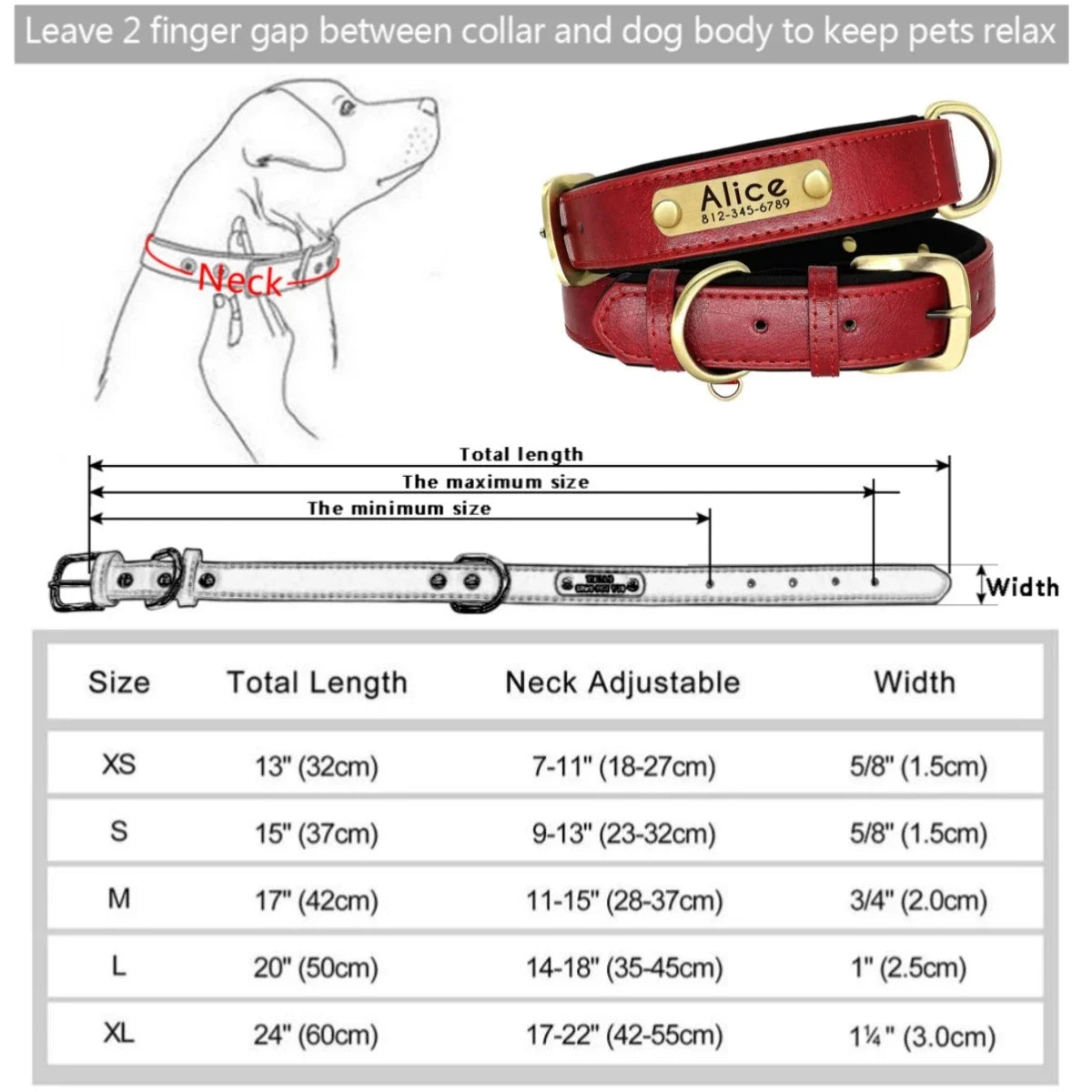 Personalized Padded Leather Dog Collar with Engraved Nameplate