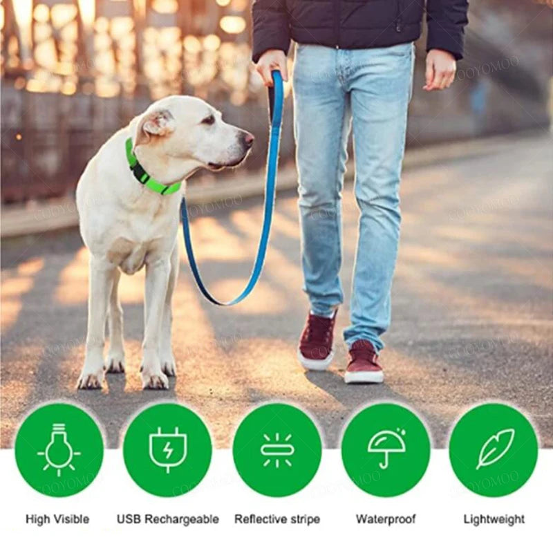 LED Dog Collar with 3 Light Modes, USB or Battery Powered