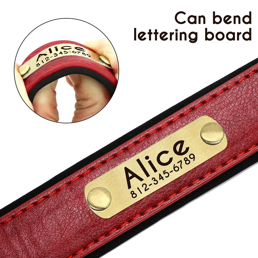 Personalized Dog Collar and Leash Set with Engraved Nameplate
