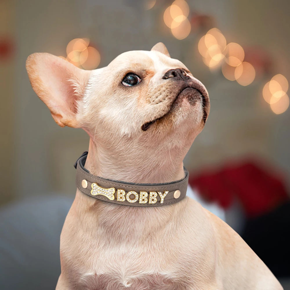 Custom Name Dog Collar with Jeweled Letter Charms
