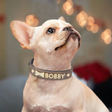 Custom Name Dog Collar with Jeweled Letter Charms