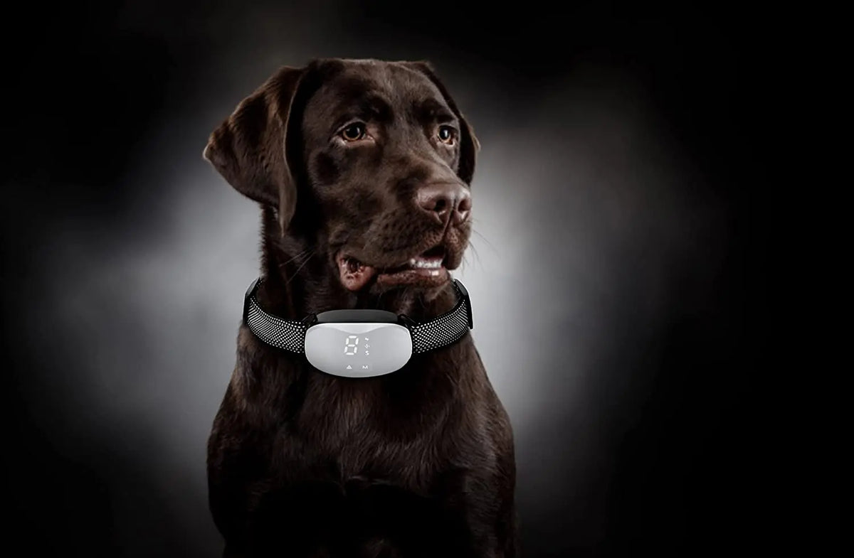 Rechargeable Anti Bark Collar with Beep, Vibration, and Static