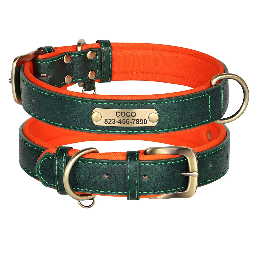 Personalized Leather Dog Collar with Engraved Nameplate, Pin Buckle