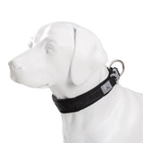 Adjustable Padded Dog Collar with Quick Release Buckle, XXS to 3XL