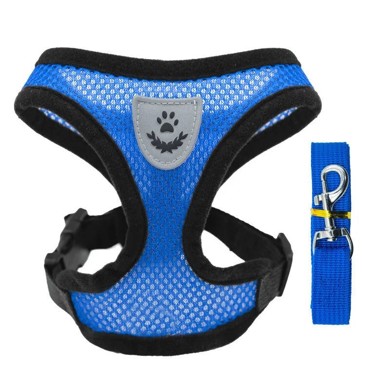 Mesh Dog Harness and Leash Set for Puppies and Small Dogs
