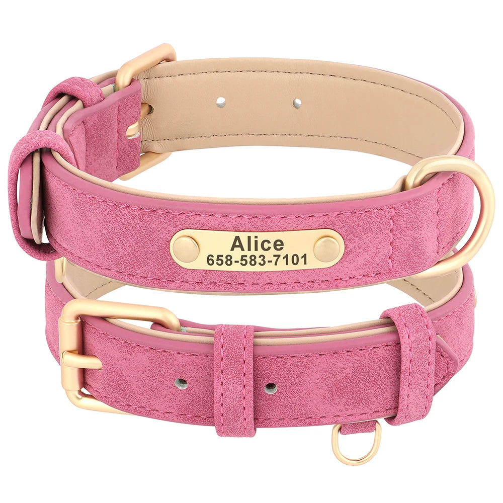 Personalized Leather Dog Collar with Engraved Nameplate, Pin Buckle