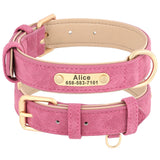 Personalized Leather Dog Collar with Engraved Nameplate, Pin Buckle